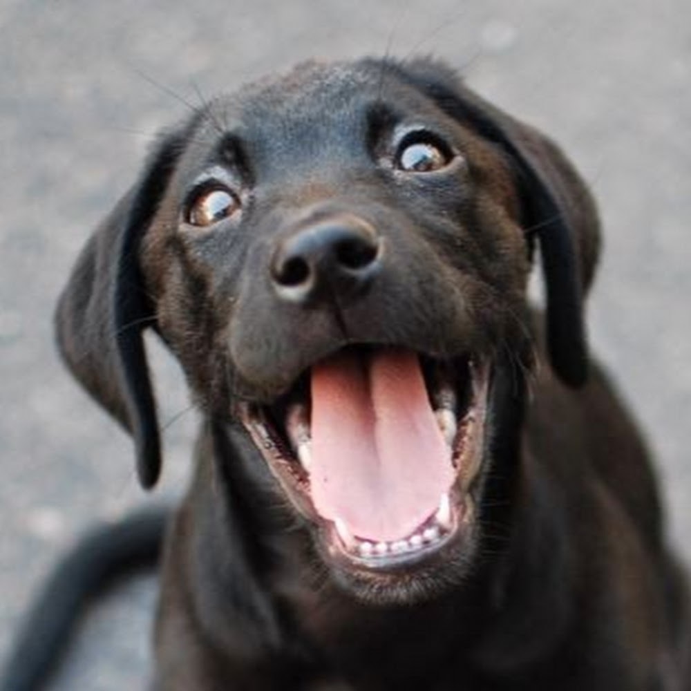 Meet your Posher, Lindsay